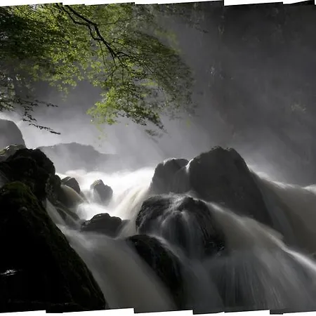 Lyndhurst 게스트하우스 4*